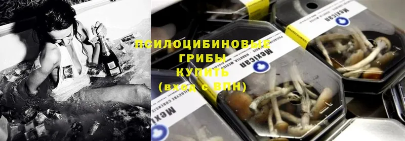 купить наркотик  Волгоград  MEGA ссылки  Псилоцибиновые грибы Psilocybe 